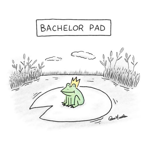 Bachelor pad.