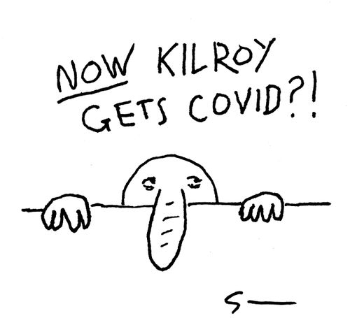 NOW Kilroy gets COVID?!