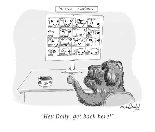 "Hey Dolly, get back here!"