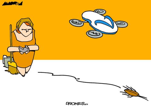 Woman uses drone flip flop to squash a bug.