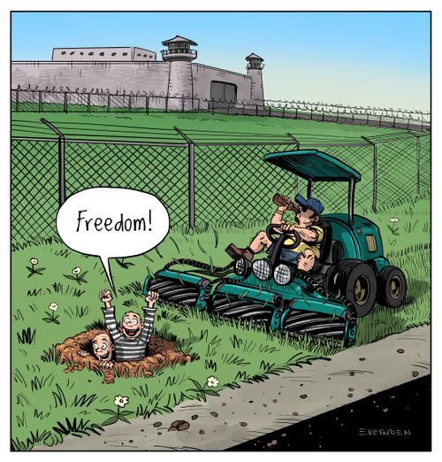"Freedom!"