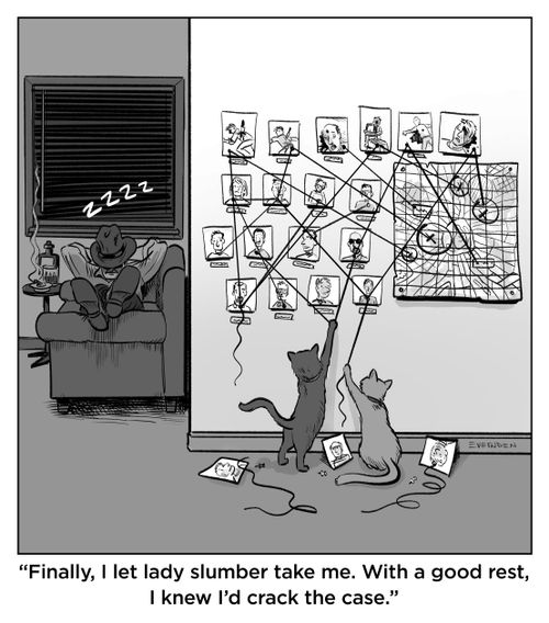 Cats vs Murder Wall