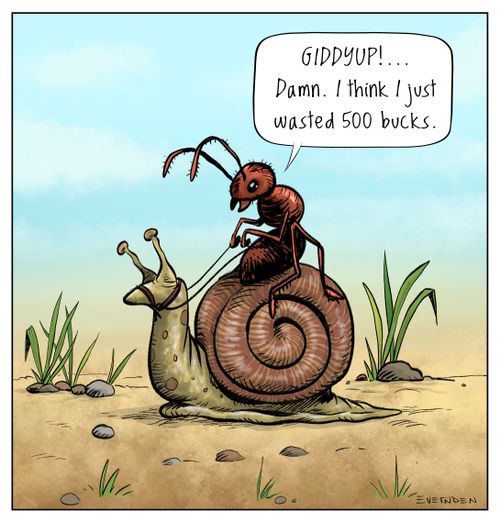 "Giddyup!. . . Damn. I think I just wasted 500 bucks."