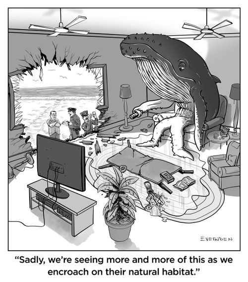 "Sadly, we're seeing more and more of this as we encroach on their natural habitat."