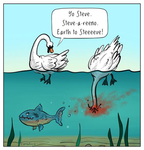 "You Steve. Steve-a-reeno. Earth to Steeeeve!"