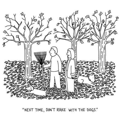 "Next time, don't rake with the dogs."