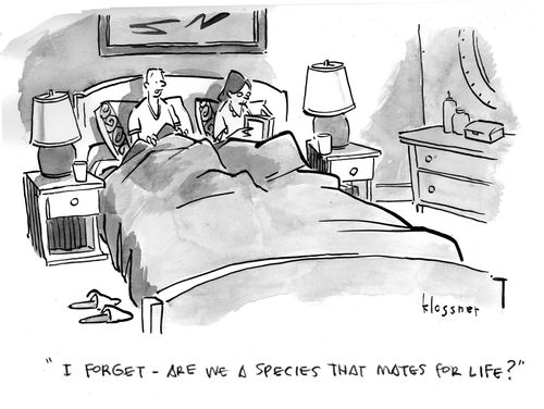 "I forget - are we a species that mates for life?"
