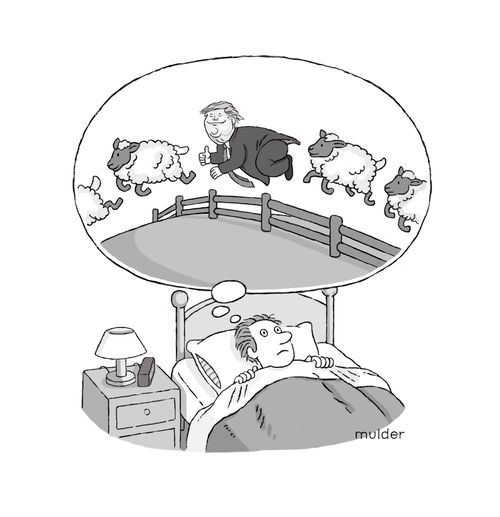 Person thinking about Trump whilst he's trying to count sheep.
