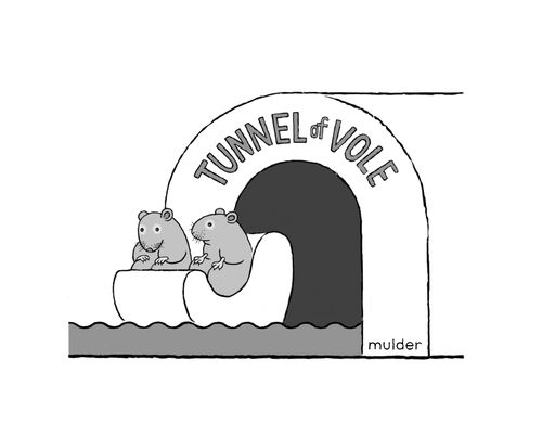 Tunnel of Vole.