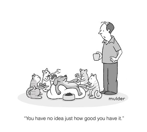 "You have no idea just how good you have it."