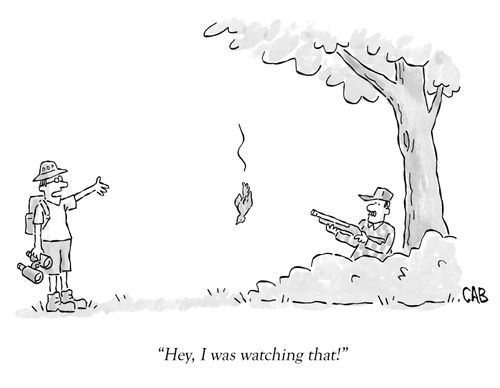 "Hey, I was watching that!"