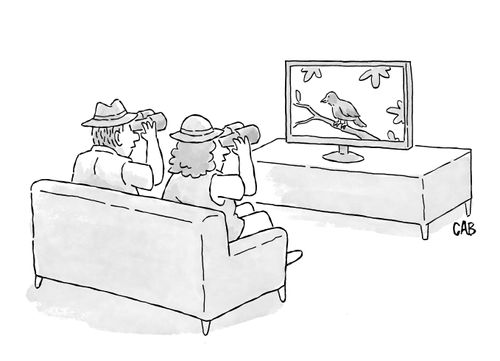 Birdwatchers watching a bird documentary.