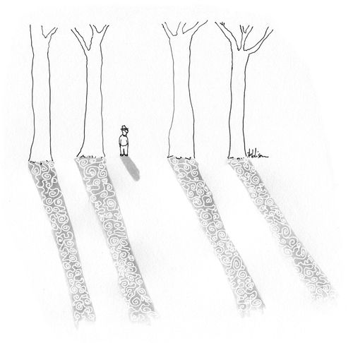 Tree Shadows