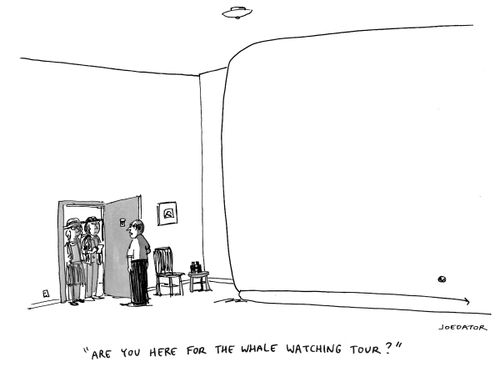"Are you here for the whale watching tour?"