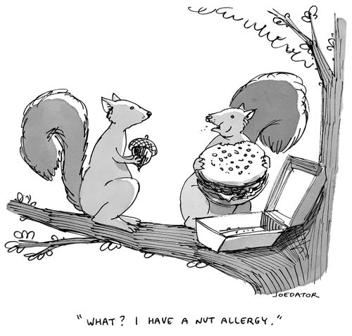 "What? I have a nut allergy."