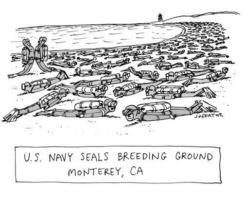 U.S. Navy Seals Breeding Ground.