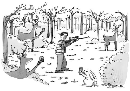 Deer hunter gets captured on their cell phones.