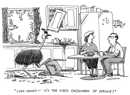 "Look honey -- it's the first cassowary of spring!"