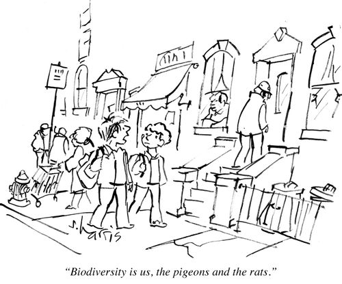 "Biodiversity is us, the pigeons and the rats."