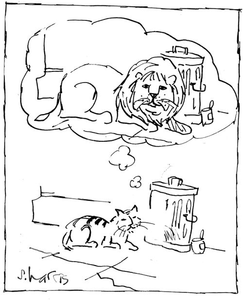 A cat dreaming of being a lion