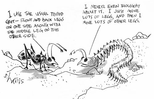 "I never even thought about it. I just move lots of legs, and then I move lots of other legs."