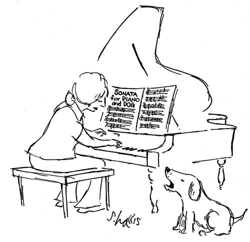 Sonata for Piano and Dog