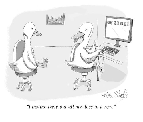 "I instinctively put all my docs in a row."