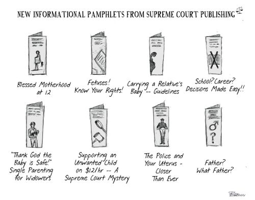 New Informational Pamphlets from Supreme Court Publishing