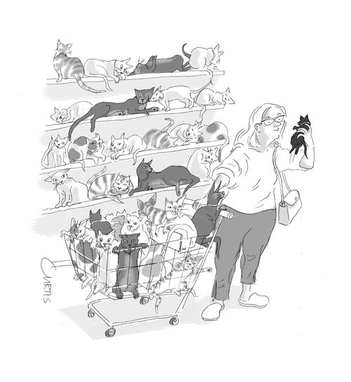 Cat woman shopping for cats.