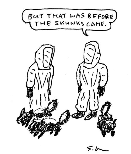 "But that was before the skunks came."