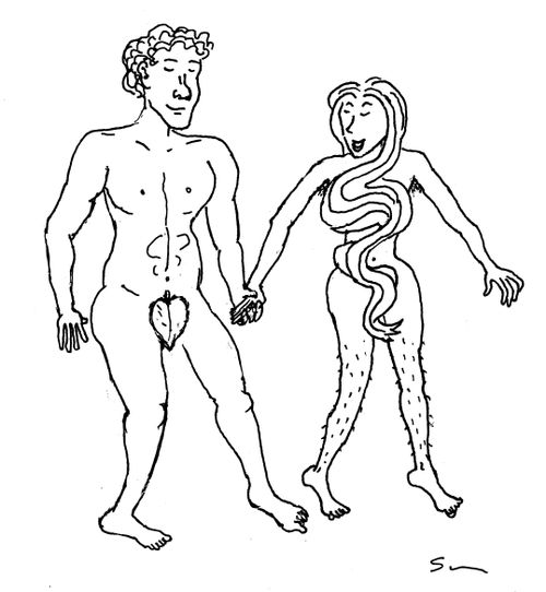 Adam & Eve Sans Razor