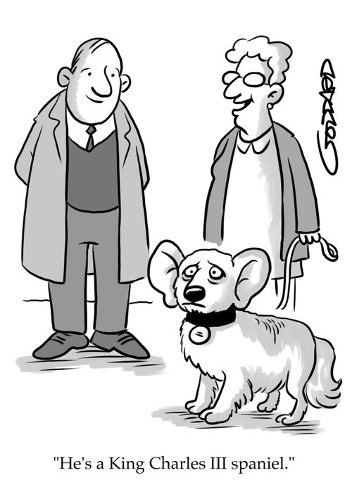 "He's a King Charles III spaniel."