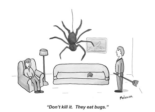 "Don't kill it. The eat bugs."