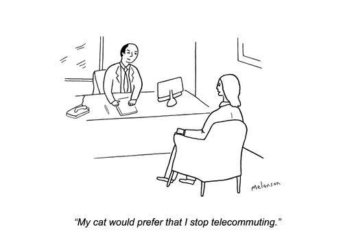 "My cat would prefer that I stop telecommuting."