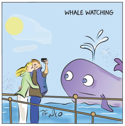 Whale watching
