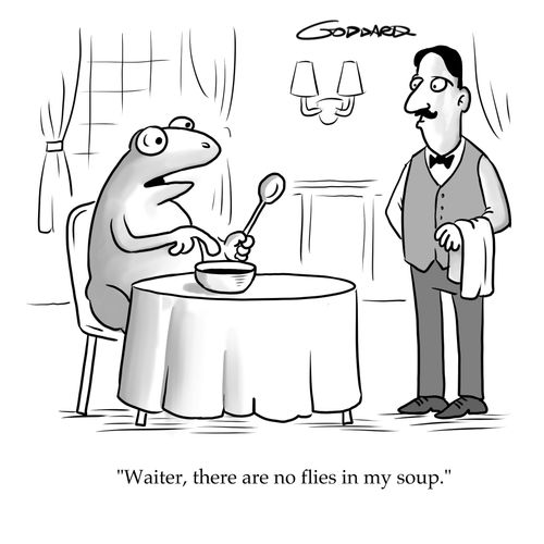 "Waiter, there are no flies in my soup."