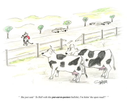 "She just said 'To hell with this put-out-to-pasture bulls**t. I'm hittin' the open road!!'"