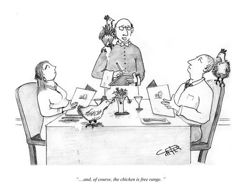 "...and, of course, the chicken is free range."