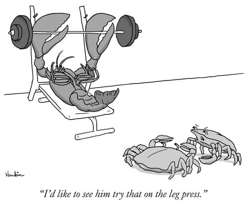 "I'd like to see him try that on the leg press."