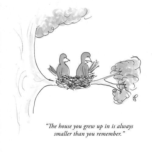 "The house you grew up in always smaller than you remember."