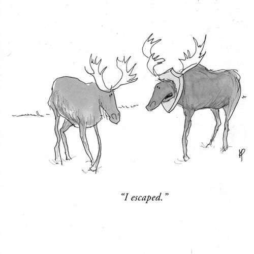 "I escaped."