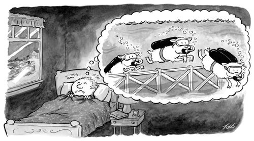 A sleeping man counting scuba-diving sheep