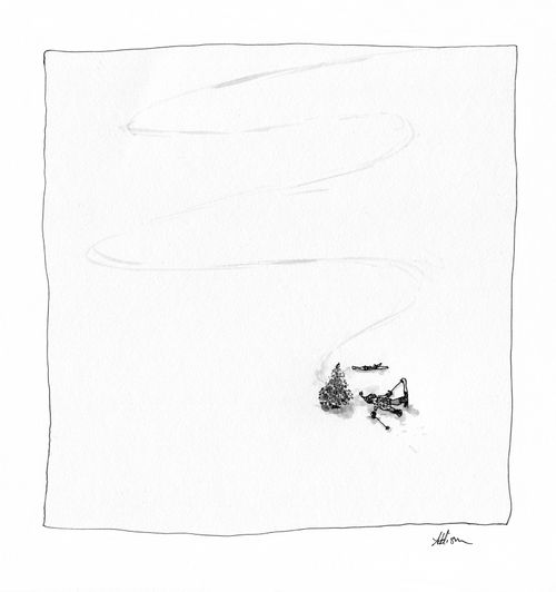 A skier who has hit a solitary tree