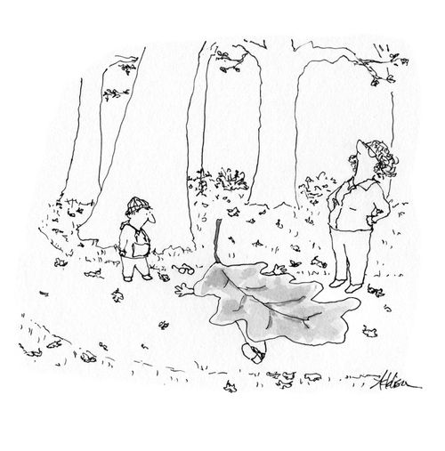 A man squashed by a giant leaf