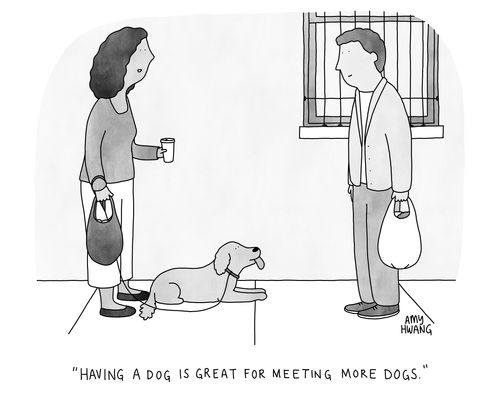 "Having a dog is great for meeting more dogs."