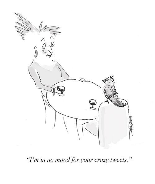 "I'm in no mood for your crazy tweets."