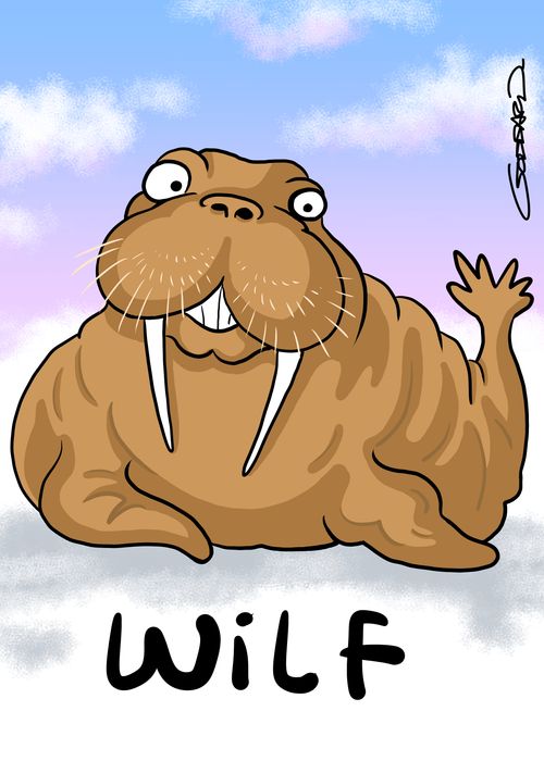 Wilf the Walrus