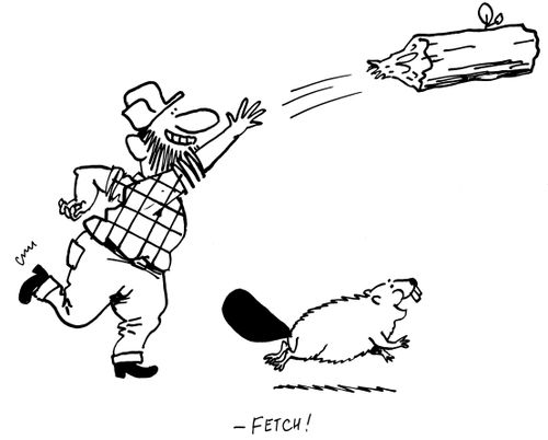 "Fetch!"