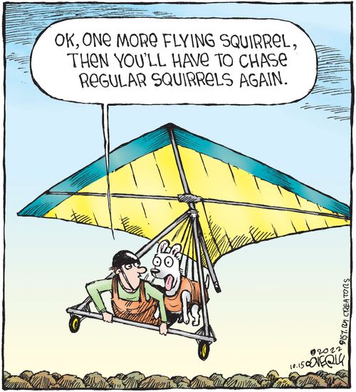 "Ok, one more flying squirrel, then you'll have to chase regular squirrels again."