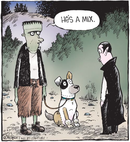 "He's a mix."